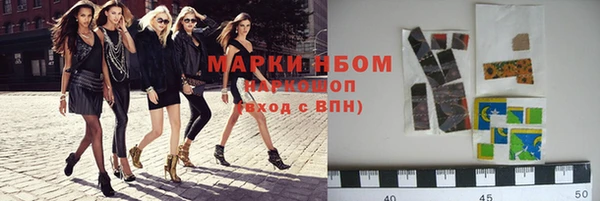 МДПВ Вяземский
