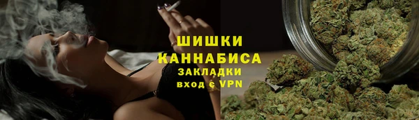 МДПВ Вяземский