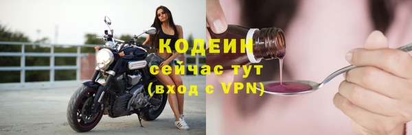 МДПВ Вяземский